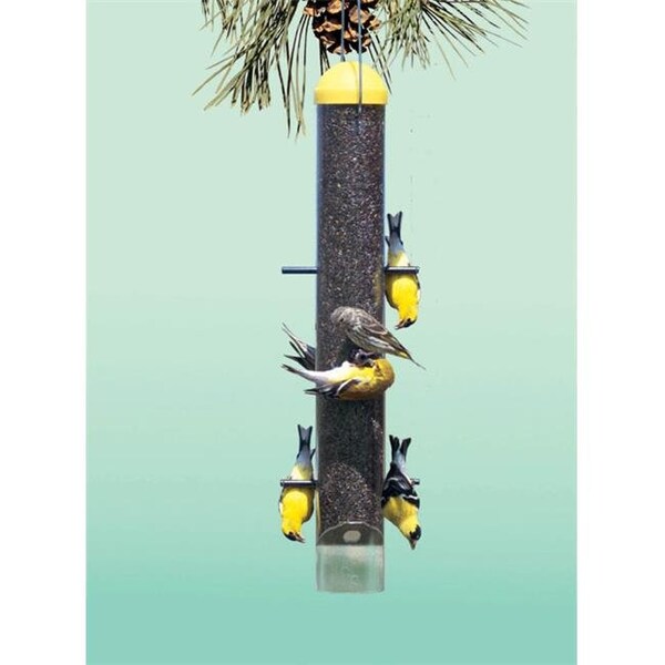 PerkyPet Perky Pet Upside Down Anti House Finch Feeder PP399 Zoro